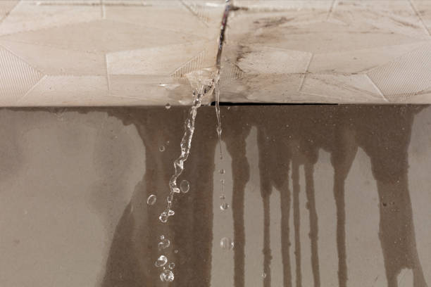 Professional Water Damage Inspection technician working in Opa-locka, FL